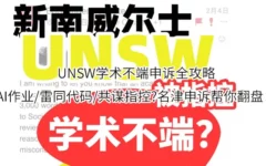 UNSW学术不端申诉全攻略,AI作业/雷同代码/共谋指控?名津申诉帮你翻盘！