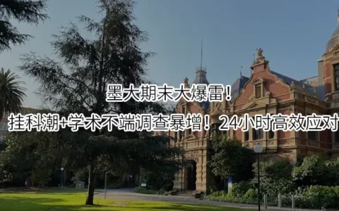 墨大期末大爆雷！挂科潮+学术不端调查暴增！24小时高效应对
