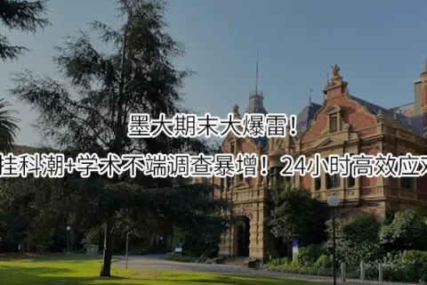 墨大期末大爆雷！挂科潮+学术不端调查暴增！24小时高效应对
