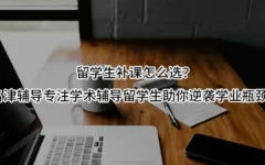 留学生补课怎么选？名津辅导专注学术辅导留学生，助你逆袭学业瓶颈！