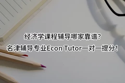 经济学课程辅导哪家靠谱？名津辅导专业Econ Tutor一对一提分！