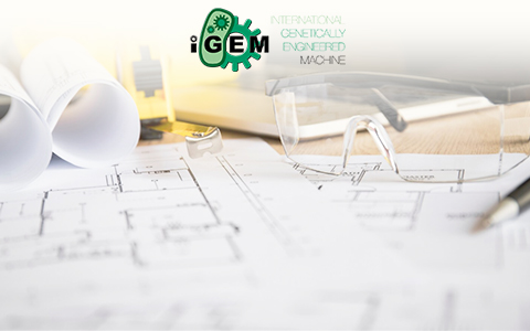 stemjs-IGEM