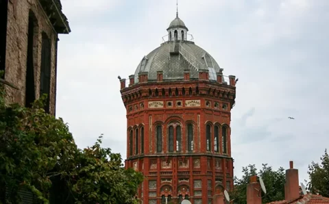 PhD如何优雅转学？博士转学避坑指南与操作全流程