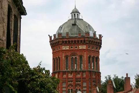 PhD如何优雅转学？博士转学避坑指南与操作全流程