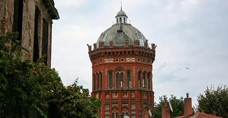 PhD如何优雅转学？博士转学避坑指南与操作全流程