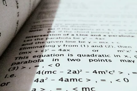 UCL ECON0010课程辅导全解析：掌握经济学数学核心，名津学院助你高效稳分！