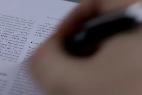 留学生如何正确选择线上作业辅导？避坑指南 + 高分秘籍全在这里！