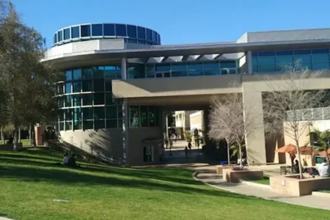 被指控学术不端怎么办？48小时申诉撤销指控，很多留学生其实还有机会