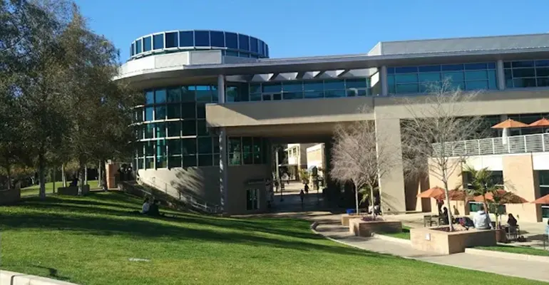 被指控学术不端怎么办？48小时申诉撤销指控，很多留学生其实还有机会